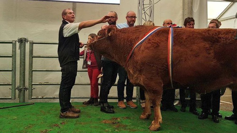 © Thierry Matonnat/Twitter